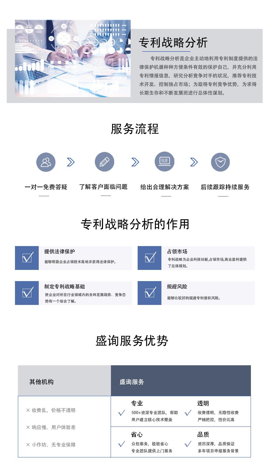4.专利战略分析.jpg